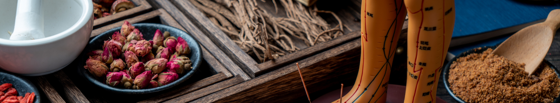 acupuncture-puppets-traditional-chinese-medicine-are-table