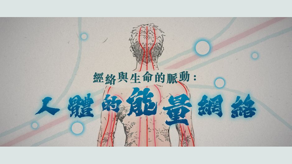 经络与生命的脉动：人体的能量网络